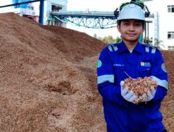 Produksi Energi Hijau Dua Kali Lipat, PLN Nusantara Power Hasilkan 525,62 GWh Energi Hijau Dari Co-Firing