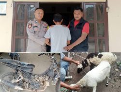 Unit Reskrim Polsek Pugung Berhasil Amankan Pelaku Curat di Dusun Tanjung Anom