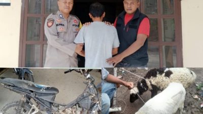 Unit Reskrim Polsek Pugung Berhasil Amankan Pelaku Curat di Dusun Tanjung Anom