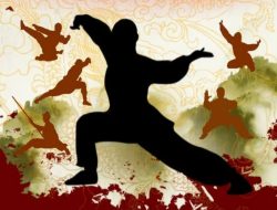 Wushu School Tournament, Ajang Kompetisi Beladiri antar Sekolah Pertama di Lampung