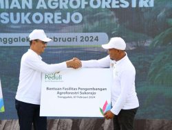 Agroforestri Sukorejo, Upaya Bersama Pulihkan Lahan dan Berdayakan Masyarakat