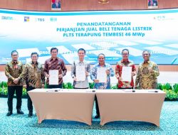 Percepat Transisi Energi, PLN Nusantara Power Siap Bangun PLTS Terapung Tembesi di Batam