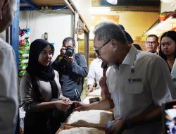 Mendag Ajak Berganti ke Beras Bulog: Enak dan Ekonomis?