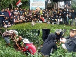 KOPELA Adakan Aksi Penanaman 1000 Pohon Dilereng Gunung Tanggamus