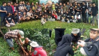 KOPELA Adakan Aksi Penanaman 1000 Pohon Dilereng Gunung Tanggamus