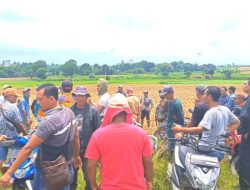 Puluhan Petani Ancam Satgas pakai Sajam saat Tertibkan Penggarap Lahan Kota Baru Lamsel