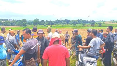 Puluhan Petani Ancam Satgas pakai Sajam saat Tertibkan Penggarap Lahan Kota Baru Lamsel