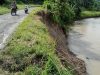 Tanggul Way Semaka Ambrol, Akses Jalan Pekon Tulung Asahan Tanggamus Terancam