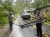 Polres Pesibar Evakuasi Tiang Listrik Roboh di Pekon Labuhan Mandi
