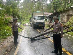 Polres Pesibar Evakuasi Tiang Listrik Roboh di Pekon Labuhan Mandi