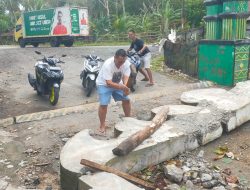Pohon Tumbang Timpa Gapura Selamat Datang Tanjung Setia, Pj Sekda Pesibar Imbau Warga Waspada