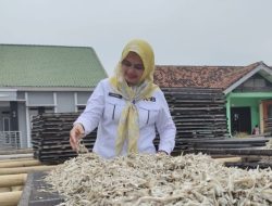 Pemprov Lampung Sebarkan 525 Ribu Ekor Benih Ikan di 2024