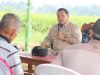 Gubernur Lampung Larang Petani Jual Gabah ke Tengkulak