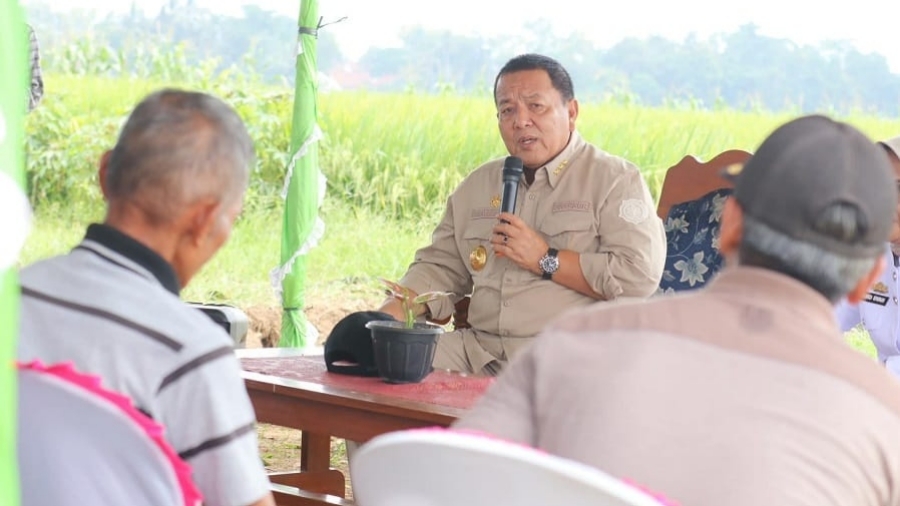 Gubernur Lampung Larang Petani Jual Gabah ke Tengkulak