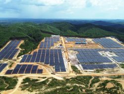 Melangkah Hijau: PLN Nusantara Power Ubah Wajah Energi Indonesia