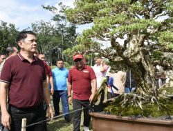 Cangget Bonsai Tubaba Meriahkan HUT Ke-15