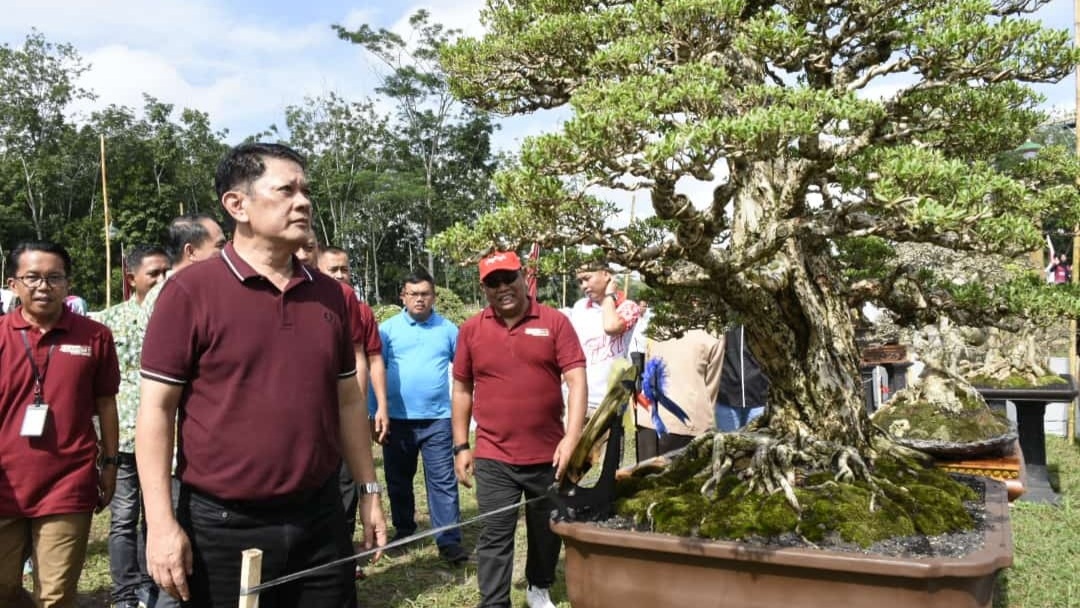 Cangget Bonsai Tubaba Meriahkan HUT Ke-15