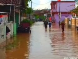 Lagi! Banjir Rendam Ratusan Rumah di Bandarlampung
