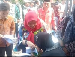 Eva Dwiana Bantu Warga Terdampak Banjir Bandarlampung