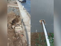 GEPAK Lampung Ungkap Kebobrokan Pembangunan TPIH Kotaagung