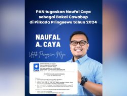 PAN Lampung Utus Naufal di Pilkada Pringsewu