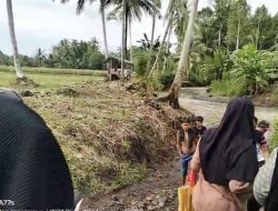 Darurat Infrastruktur, Warga Pekon Sampang Turus Butuh Jembatan Baru