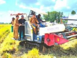 Panen Raya: Tulang Bawang Cetak Prestasi Pertanian