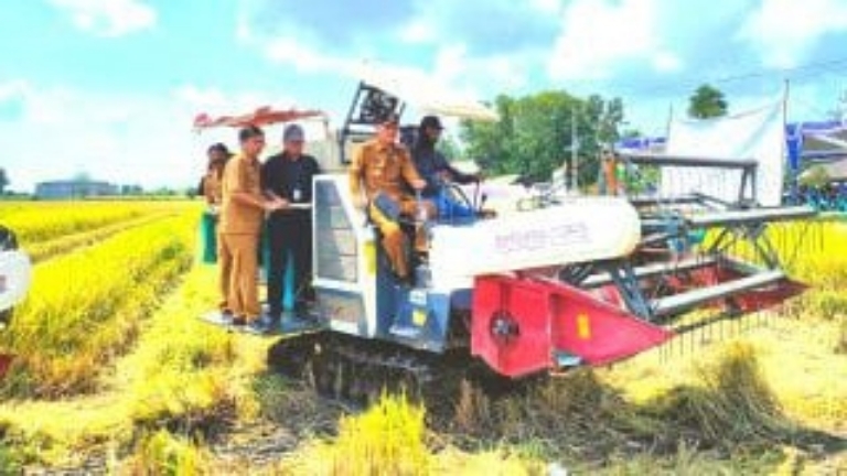 Panen Raya: Tulang Bawang Cetak Prestasi Pertanian