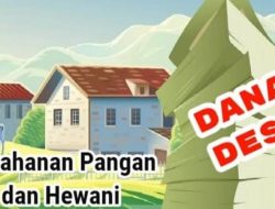 Kurang Pengawasan: Program Ketahanan Pangan di Pagar Jaya Gagal