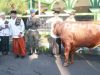 Plh Bupati Probolinggo: Semangat Qurban Perkuat Iman dan Persatuan