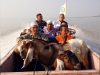 Dewan Dakwah Lampung Salurkan Hewan Qurban dan Khotib