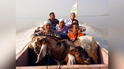 Dewan Dakwah Lampung Salurkan Hewan Qurban dan Khotib