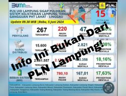 PLN Klaim Berhasil Normalisasi Listrik 530927 Pelanggan di Lampung