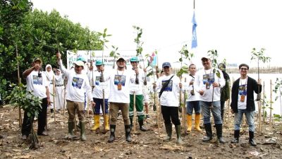 Karyawan PLN NP Wajib Ikut Volunteering di 2024