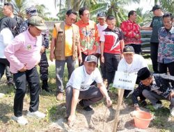 Cegah Abrasi, Tanggamus Tanam Ribuan Pohon Cemara