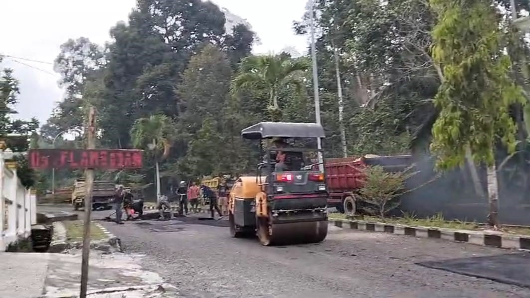 Kunjungan Jokowi dan Sihir Instan Pemerintah Tanggamus