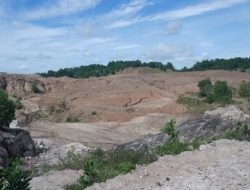 Warga Patalan Probolinggo Desak Reklamasi Tambang, Lahan Pertanian Terancam