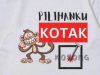 Kotak Kosong Mengintai: Demokrasi Tubaba di Ujung Tanduk?