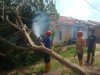 Angin Puting Beliung Landa Natar Lampung Selatan, Puluhan Rumah Rusak