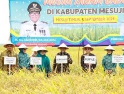 Pj Gubernur Samsudin & Maidawati Panen Raya Padi Musim Tanam Gadu di Mesuji