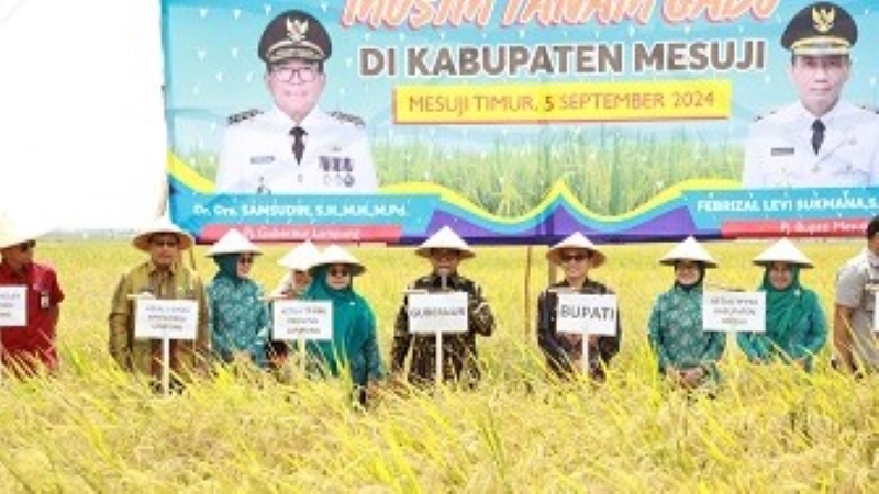 Pj Gubernur Samsudin & Maidawati Panen Raya Padi Musim Tanam Gadu di Mesuji