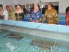 Lampung Perangi Penyelundupan BBL, Jaga Kelestarian Laut