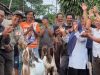 Anggota DPRD Lampung Bagikan Babon Kambing untuk Dongkrak Ekonomi Warga Sindang Anom