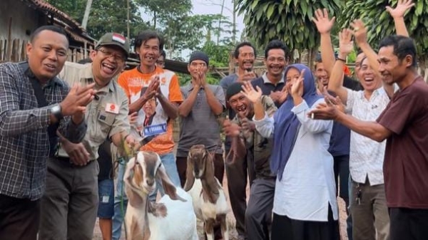 Anggota DPRD Lampung Bagikan Babon Kambing untuk Dongkrak Ekonomi Warga Sindang Anom