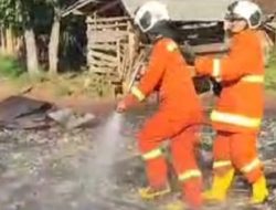 Damkar Pesawaran Sigap Tangani Kebakaran, Kendala Teknis Diatasi dengan Bantuan Bandarlampung