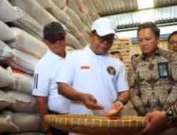 Pj Gubernur Lampung Tinjau Ketersediaan Beras di Gudang Bulog Liwa Lambar