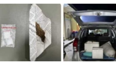 Pelaku Penyelundupan Benih Lobster Ditangkap, Diduga Bawa Narkoba
