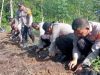 Polsek Pesisir Tengah Bersama Masyarakat Tanam Cabai, Dukung Swasembada Pangan