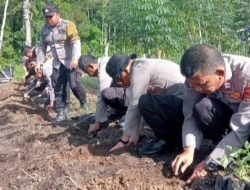 Polsek Pesisir Tengah Bersama Masyarakat Tanam Cabai, Dukung Swasembada Pangan