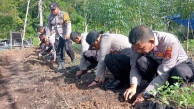 Polsek Pesisir Tengah Bersama Masyarakat Tanam Cabai, Dukung Swasembada Pangan